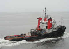 m/s Bylgia